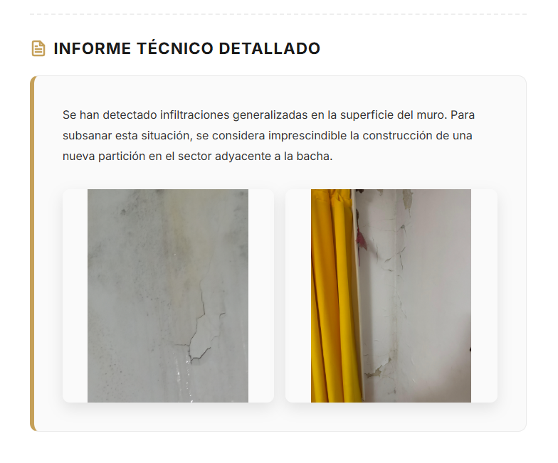 Ejemplo de Informe Técnico Plattia